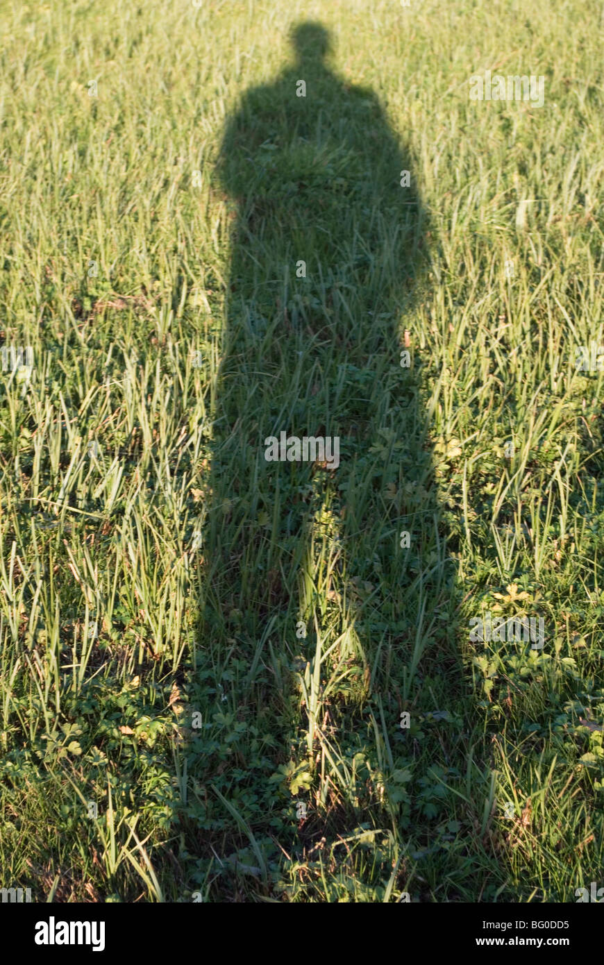 De l'homme de l'ombre sur l'herbe Banque D'Images
