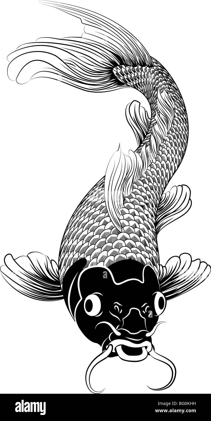Beau noir et blanc vector illustration d'un Japonais ou Chinois inspiré carpes koï poisson Banque D'Images