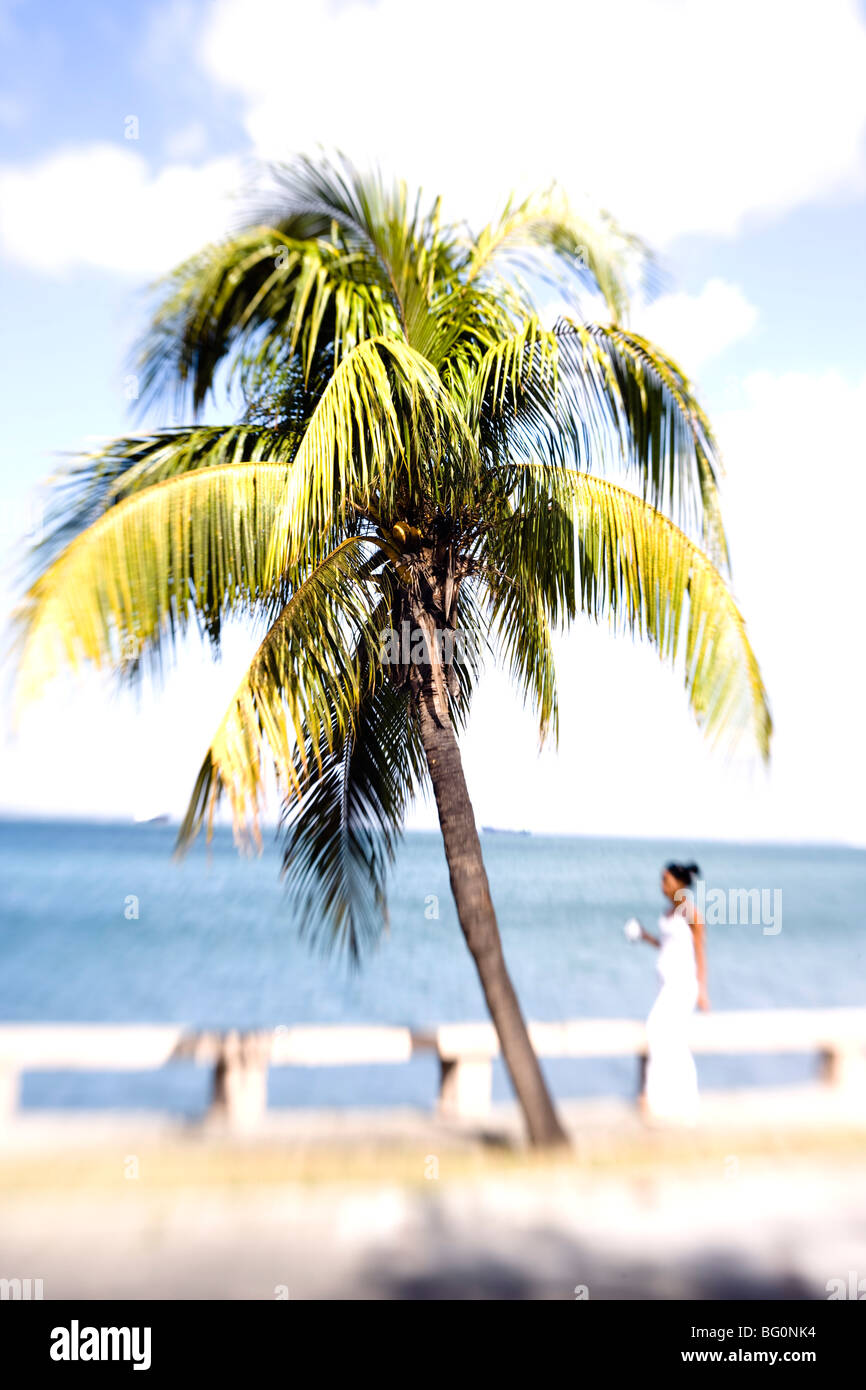 Palmier et femme en robe blanche, Punta Gorda, Cienfuegos, Cuba, Antilles, Caraïbes, Amérique Centrale Banque D'Images