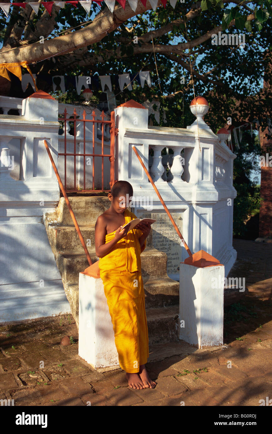 Moine Bouddhiste Novice étudiant, Aukana Monastère, Sri Lanka, Asie Banque D'Images