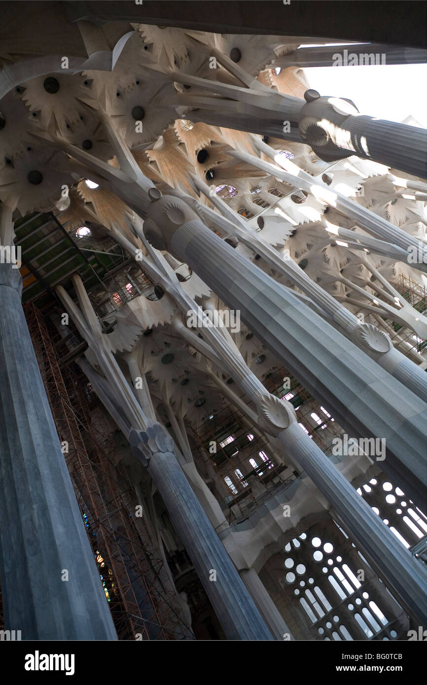 Intérieur avec des colonnes et des fenêtres, La Sagrada Familia, Barcelone, Catalogne, Espagne, Europe Banque D'Images