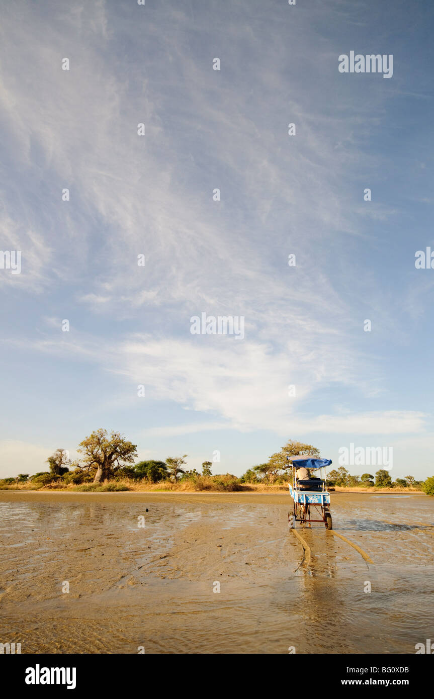 Cheval et panier, Delta Sine Saloum, au Sénégal, en Afrique de l'Ouest, l'Afrique Banque D'Images