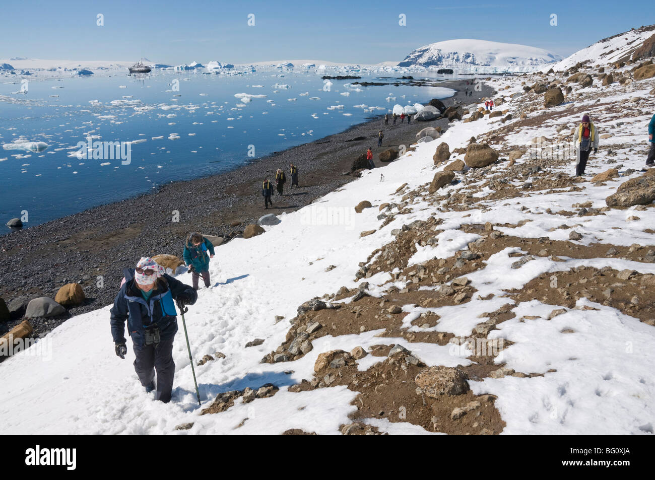 Brown Bluff, Péninsule Antarctique, l'Antarctique, régions polaires Banque D'Images