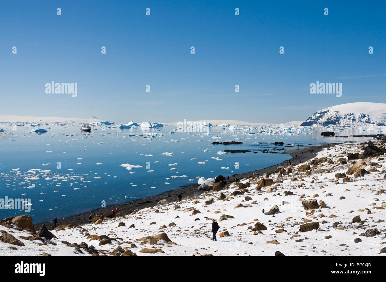 Brown Bluff, Péninsule Antarctique, l'Antarctique, régions polaires Banque D'Images