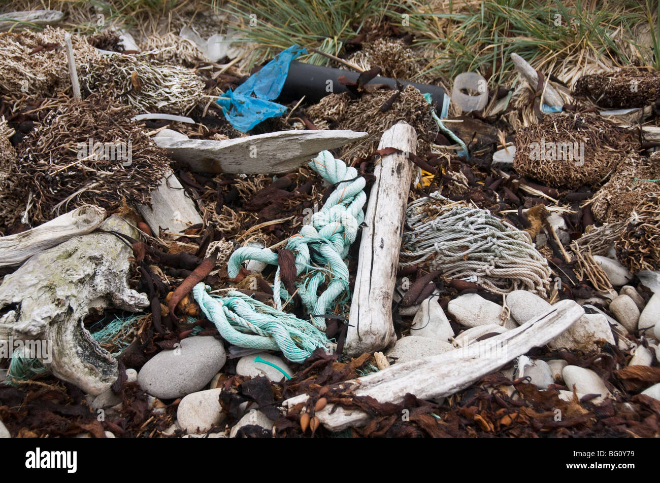 Le plastique sur la plage, l'île de la carcasse, des îles Malouines, l'Amérique du Sud Banque D'Images