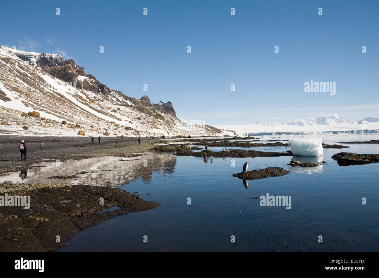 Brown Bluff, Péninsule Antarctique, l'Antarctique, régions polaires Banque D'Images