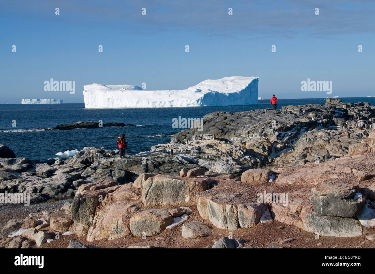 Gourdin Island, Péninsule Antarctique, l'Antarctique, régions polaires Banque D'Images
