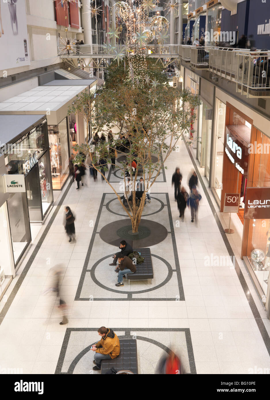 Le Centre Eaton de Toronto durant les vacances de noël saison 2009. Toronto, Ontario, Canada. Banque D'Images