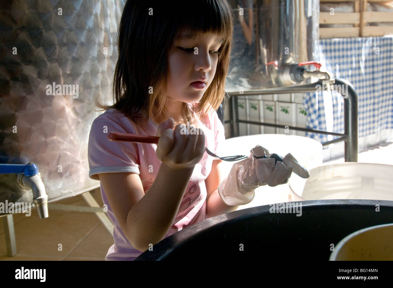 L'Italie, la Sicile, les olives fourches bébé pour saler Banque D'Images