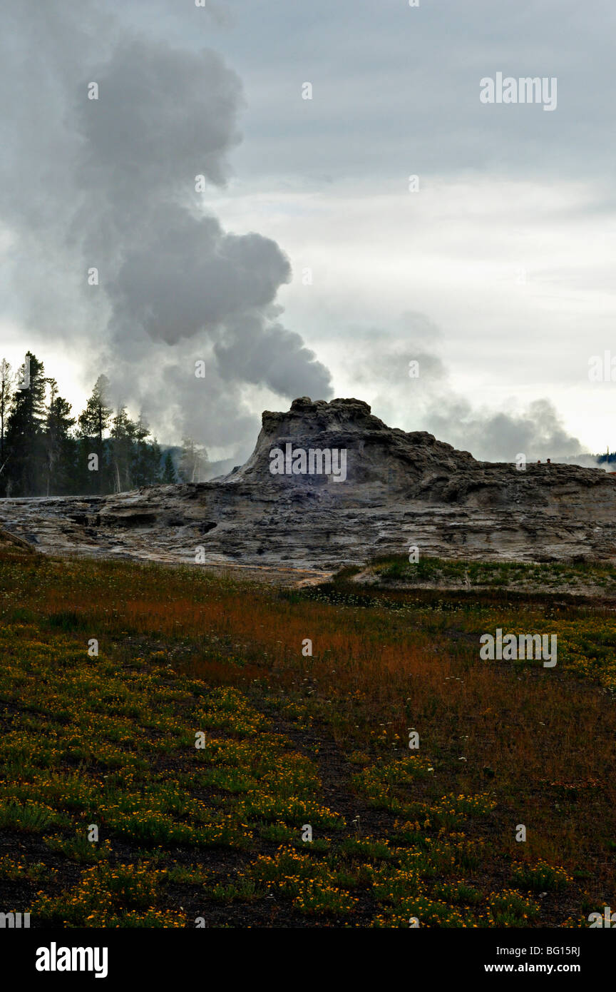 Château le geyser geyser basin dans le parc national de Yellowstone Banque D'Images