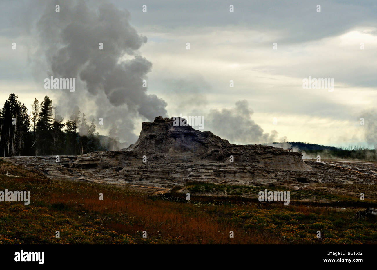 Château le geyser geyser basin dans le parc national de Yellowstone Banque D'Images