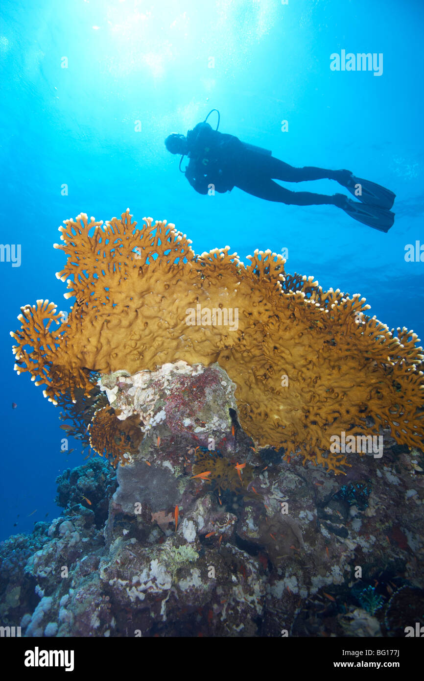 Sous-marin en plongée Banque D'Images