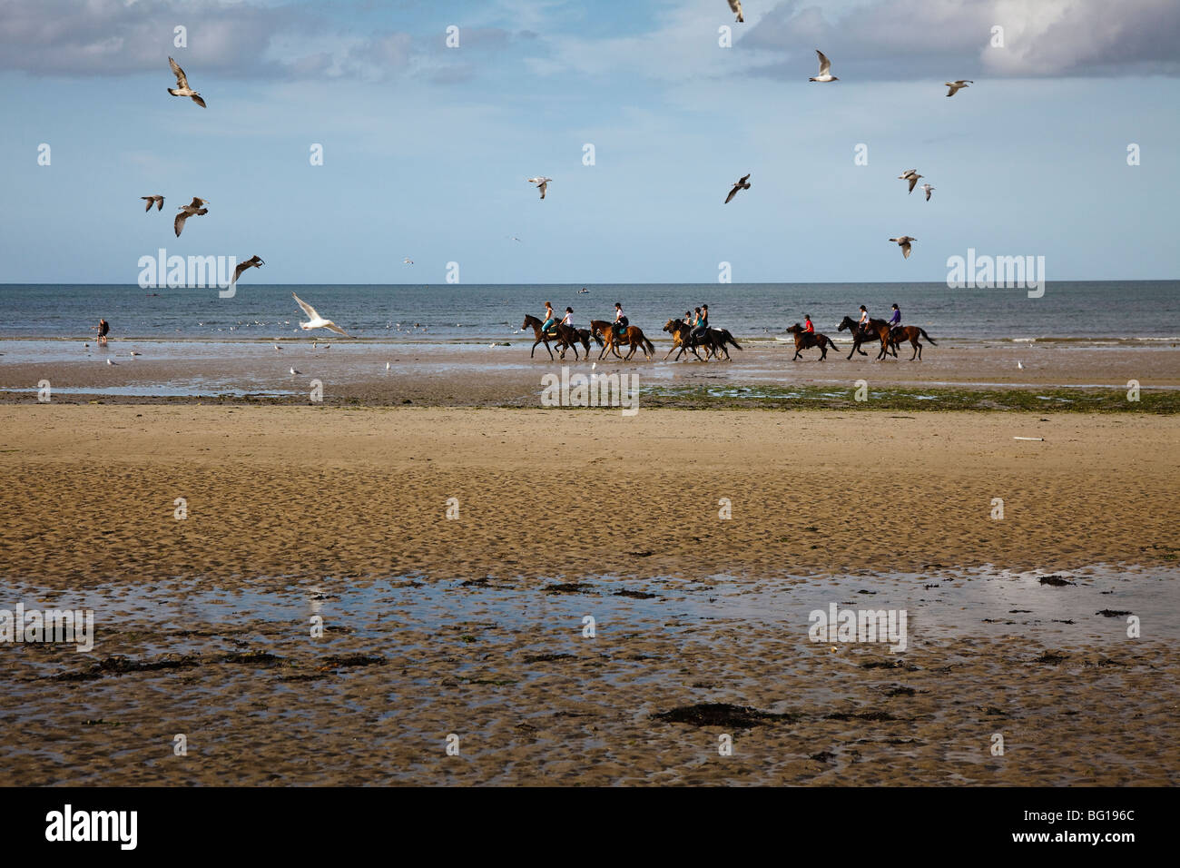 Les cavaliers sur la plage de 'Sword', Colleville-Montgomery-plage près de Ouistreham, Normandie, France Banque D'Images