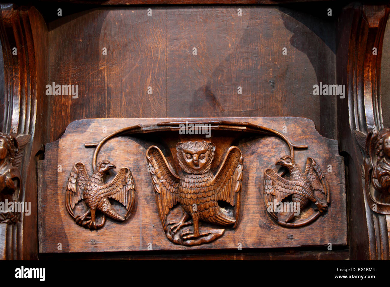 Ornée de sculptures d'oiseaux de proie ce choeur siège cabine située à St Laurence's Church à Ludlow, Shropshire, Angleterre. Banque D'Images