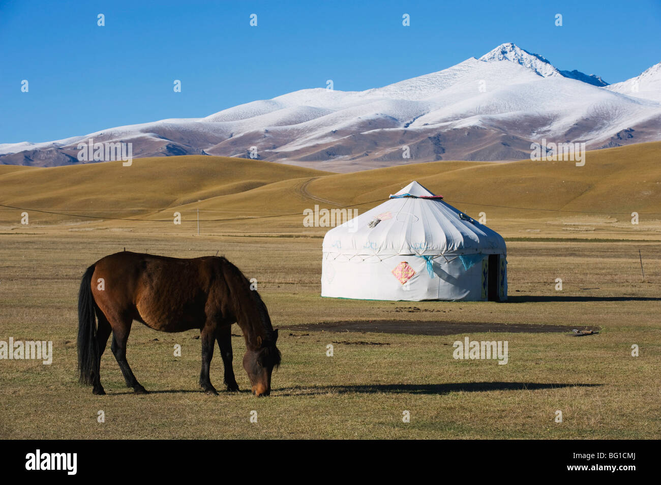 Nomads cheval et yourte, Bayanbulak, Province du Xinjiang, China, Asia Banque D'Images