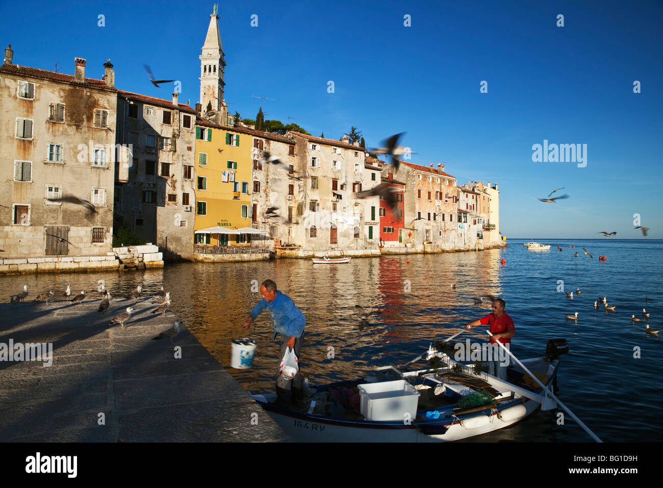 Le matin, les pêcheurs attraper Rovinj harbour Istrie Croatie Banque D'Images