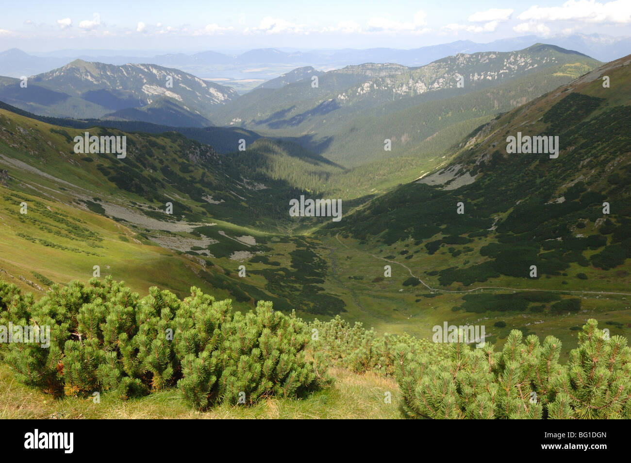 Regardant vers le bas de la vallée dolina Siroka Demanovske sedlo ci-dessous dumbier pic dans les montagnes Tatras Slovaquie faible Banque D'Images