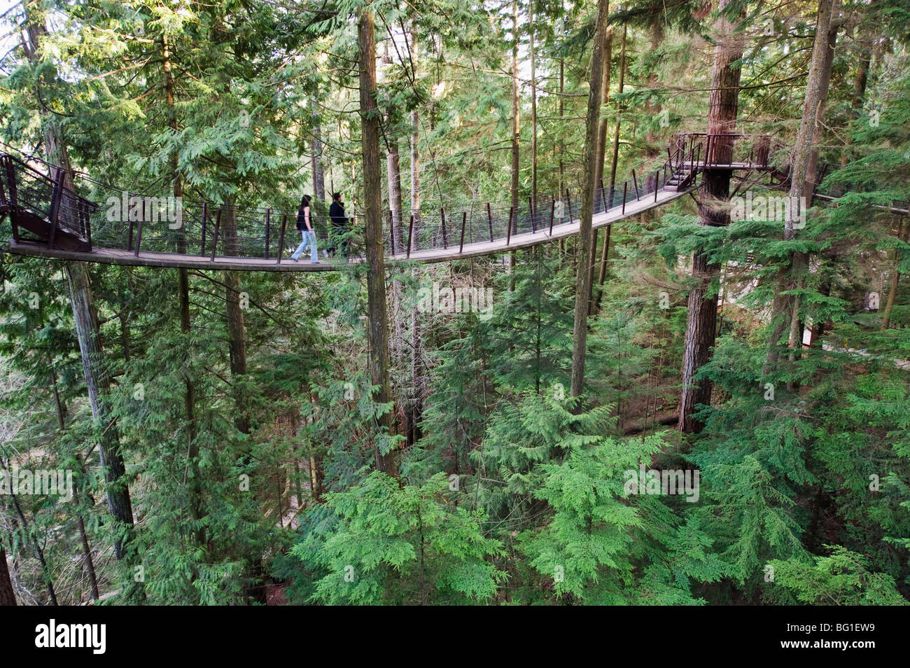 Les touristes sur une allée en haut du pont suspendu Capilano et Park, Vancouver, British Columbia, Canada, Amérique du Nord Banque D'Images