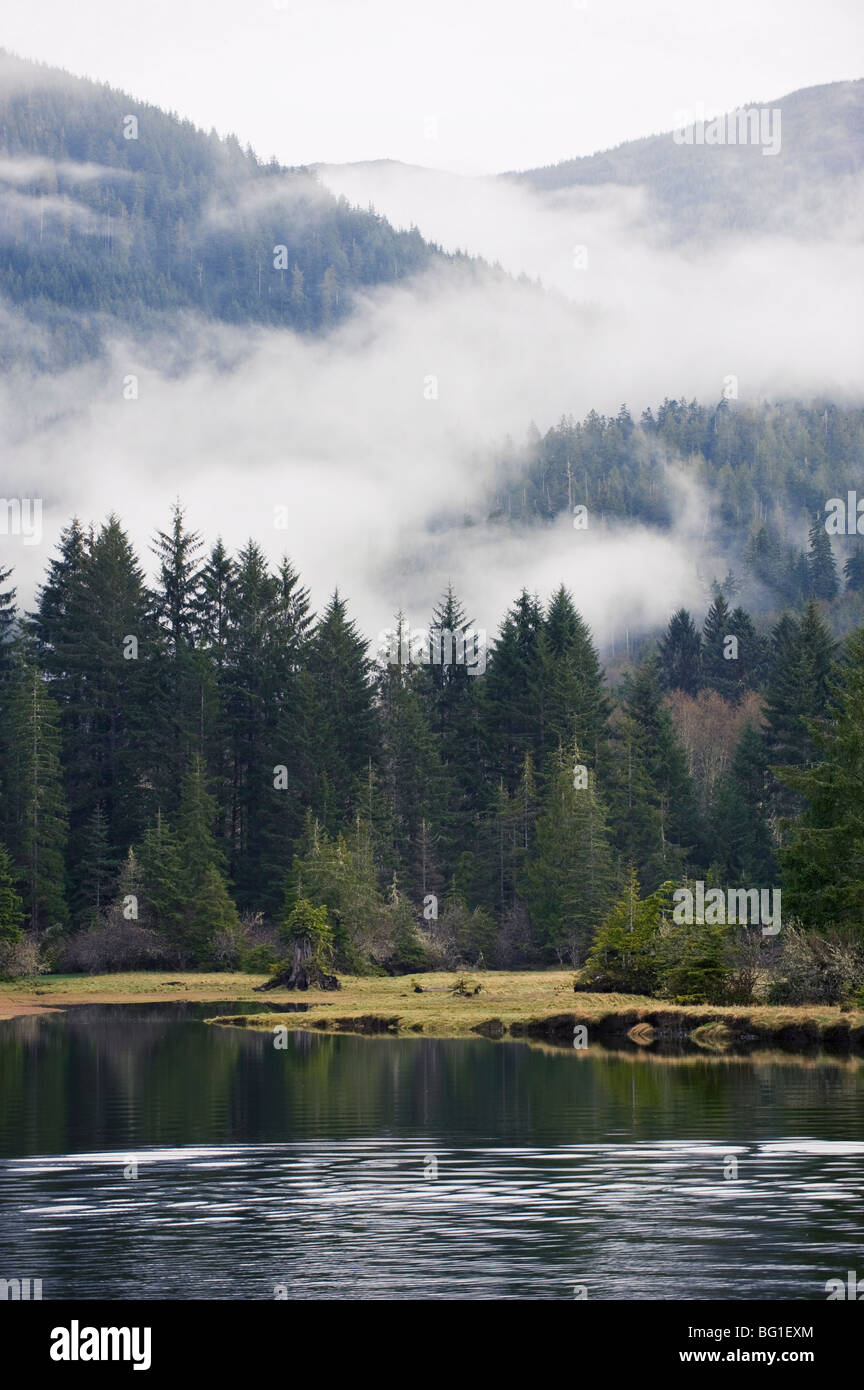 Brume du matin à Port Renfrew, l'île de Vancouver, Colombie-Britannique, Canada, Amérique du Nord Banque D'Images