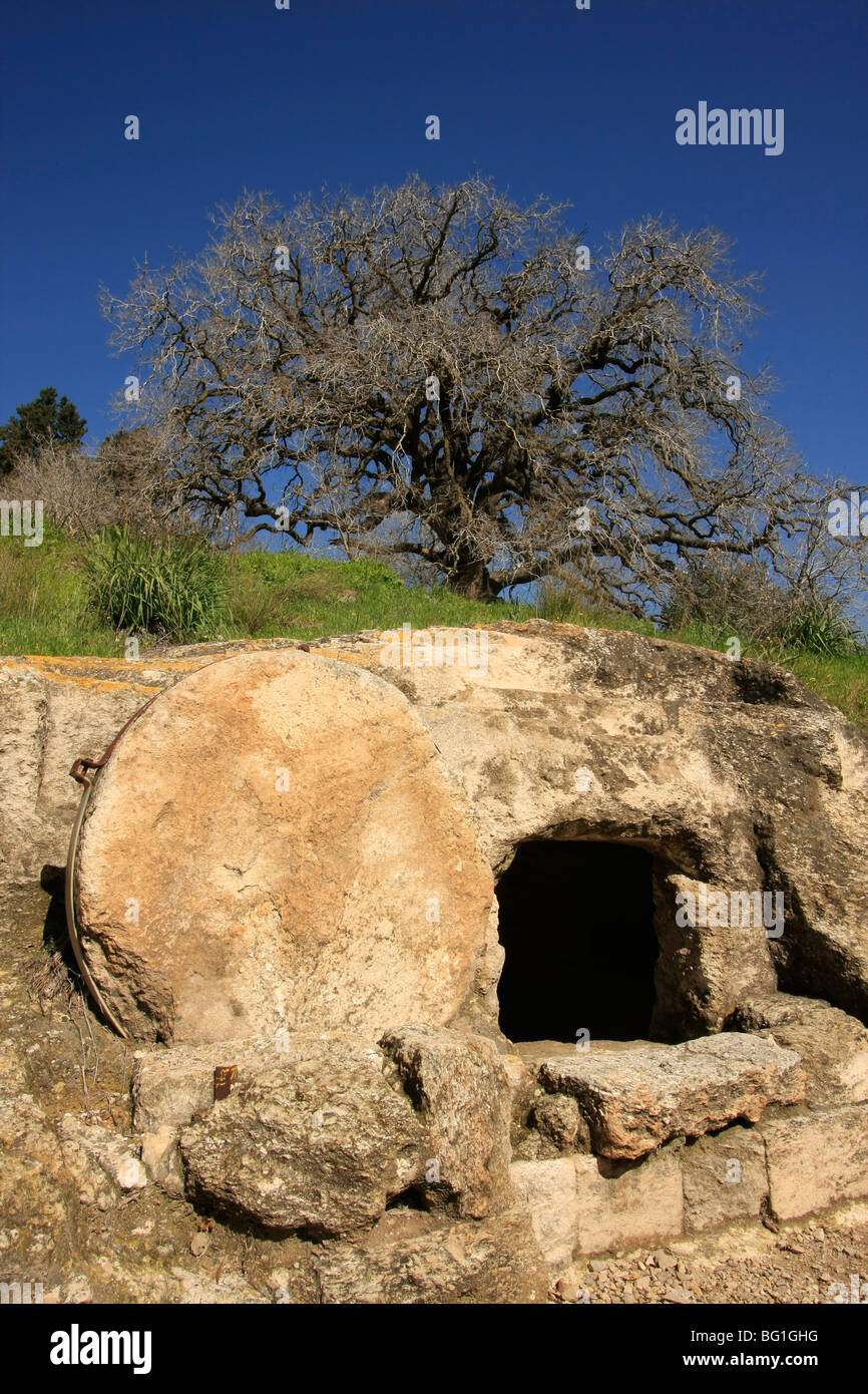 Israël, Menashe Heights, un chêne au-dessus d'une grotte funéraire antique Banque D'Images