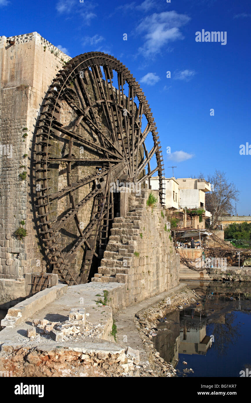 Norias, fleuve Oronte, ville Hama, en Syrie Banque D'Images