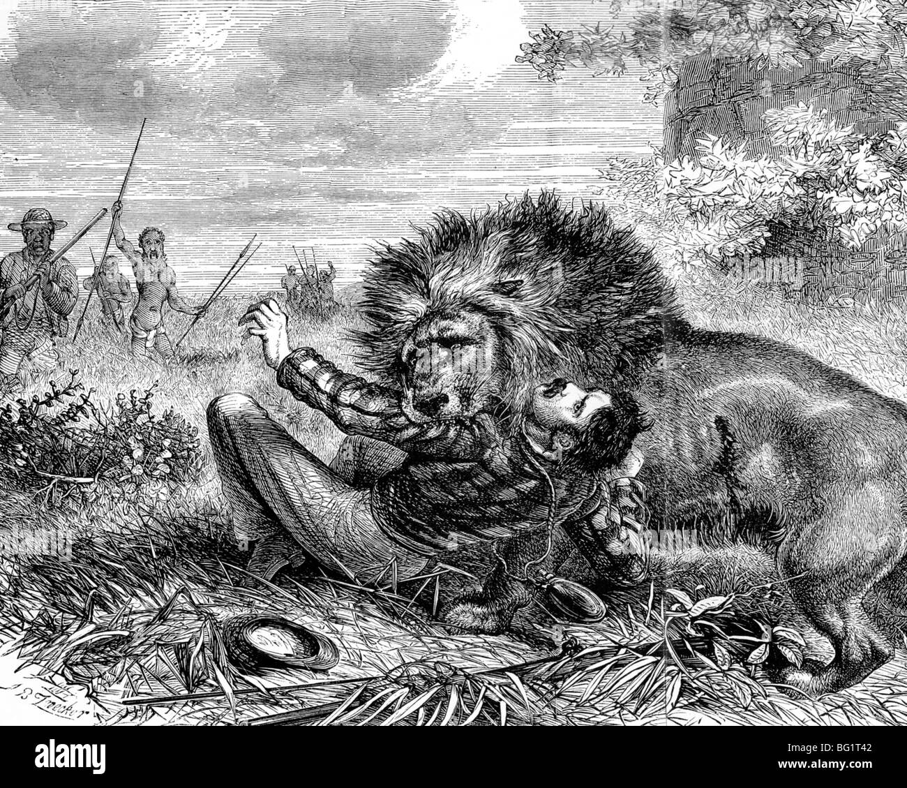 DAVID LIVINGSTONE Gravure tirée de son autobiographie lui montre attaqué par un lion blessé au bras gauche Banque D'Images