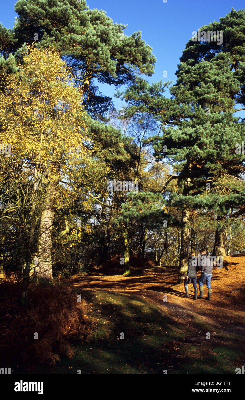 Un jeune couple se promener en Wilmslow Cheshire Banque D'Images