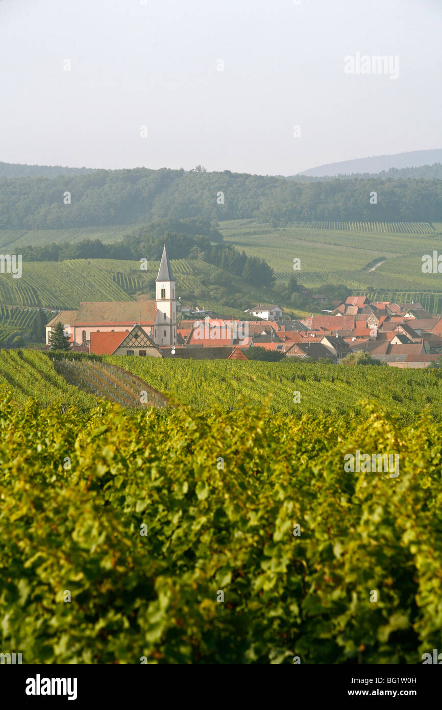 Vignes et villages le long de la Route des Vins, Alsace, France, Europe Banque D'Images