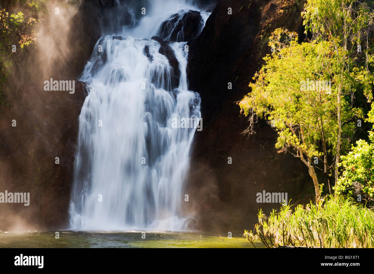 Wangi Falls, Litchfield National Park, Territoire du Nord, Australie, Pacifique Banque D'Images