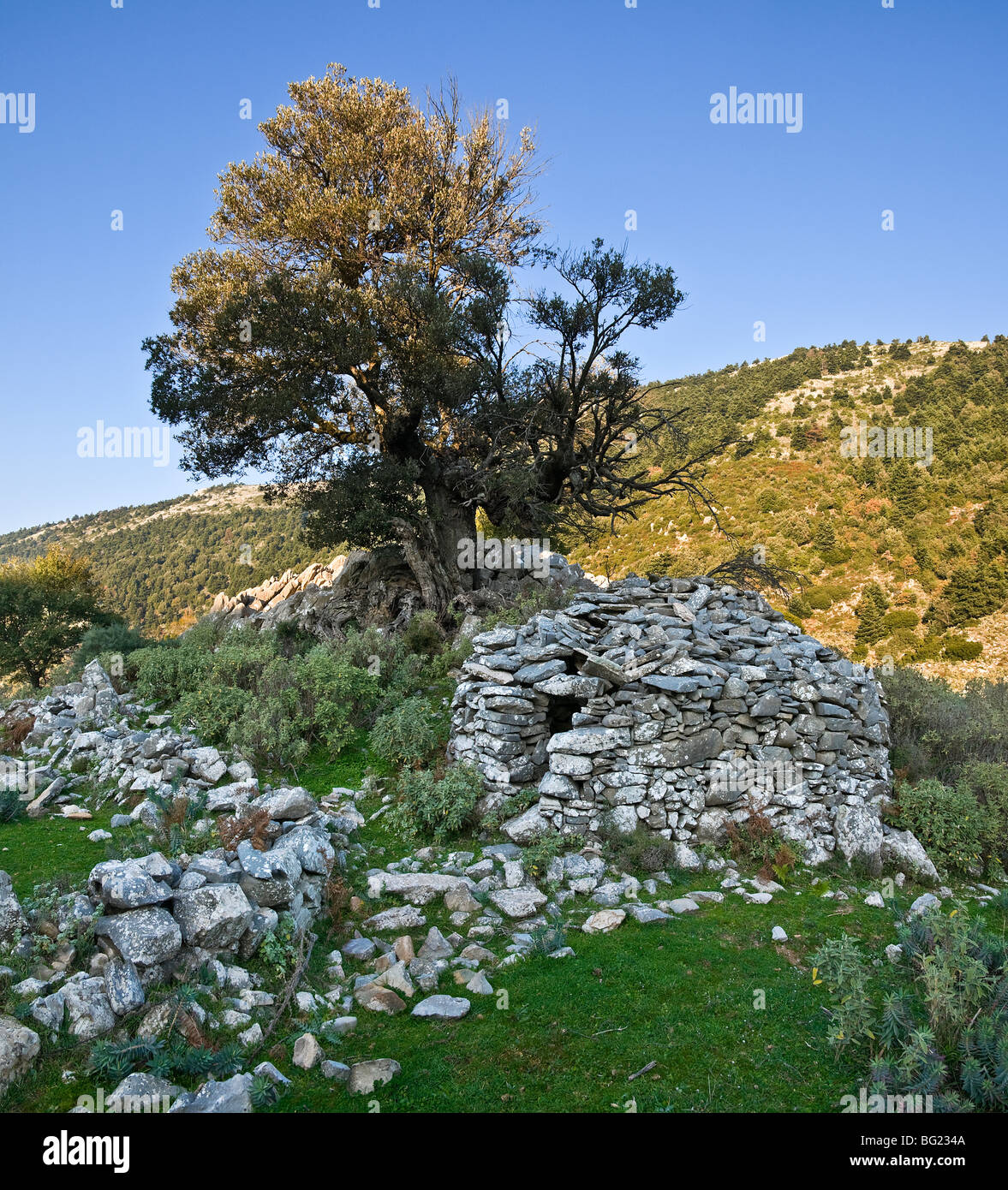 Une vieille cabane de bergers en pierre dans le mouintains Taygète, extra-Mani, Sud du Péloponnèse, Grèce Banque D'Images