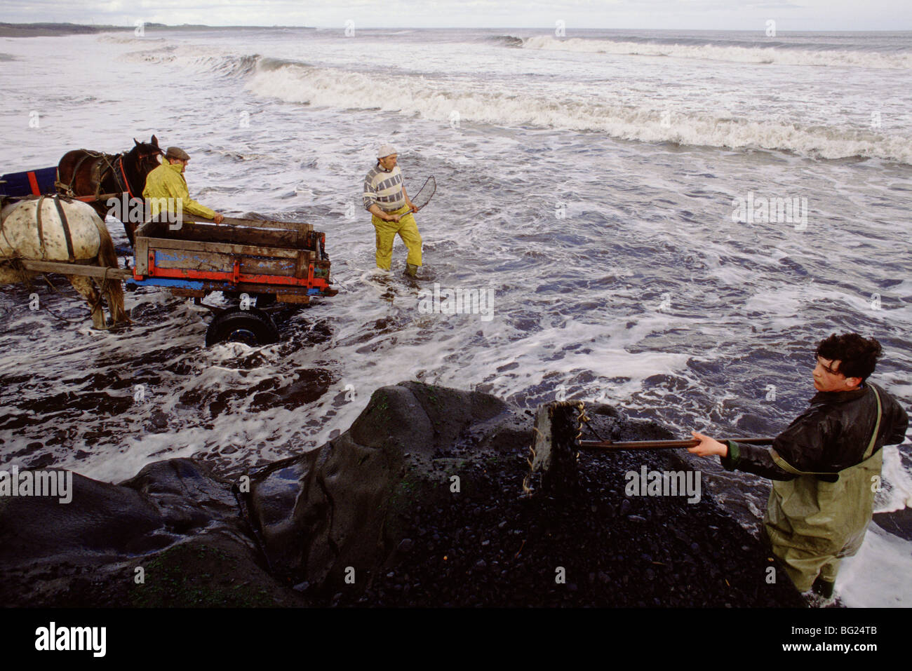 De la mer à coaling Seaham, County Durham, England, UK Coal échoués d'une couture est exposée ici réunis. Banque D'Images