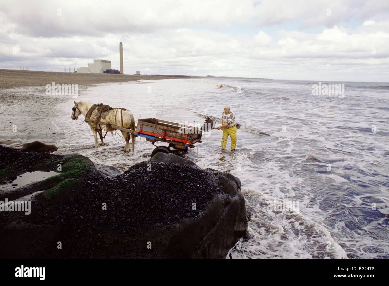 De la mer à coaling Seaham, County Durham, England, UK Coal échoués d'une couture est exposée ici réunis. Banque D'Images