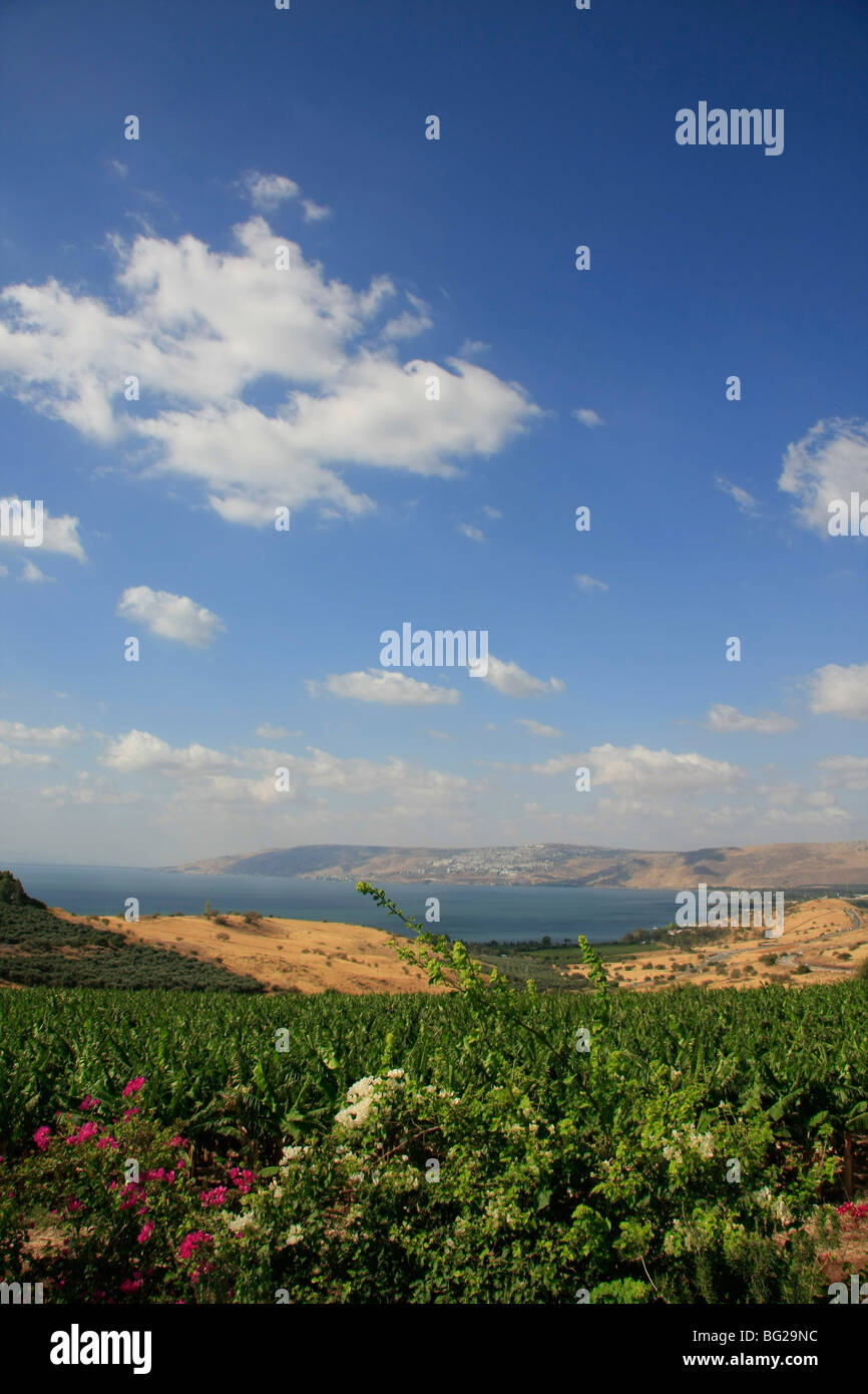 Israël, une vue sur la mer d'Glilee du Mont des Béatitudes Banque D'Images