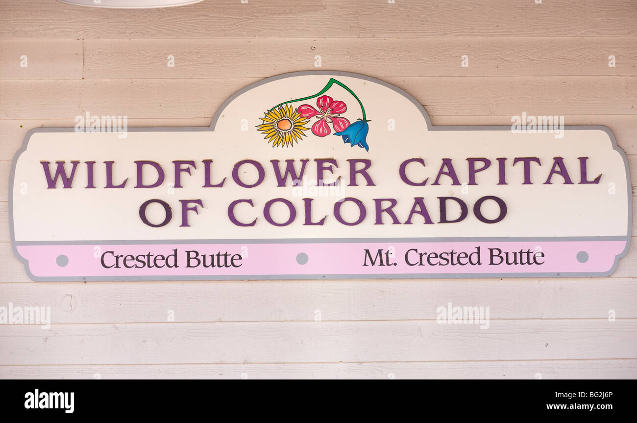 La capitale du Colorado Wildflower signer de Crested Butte, les Rocheuses, le Colorado, USA, Amérique du Nord. Banque D'Images