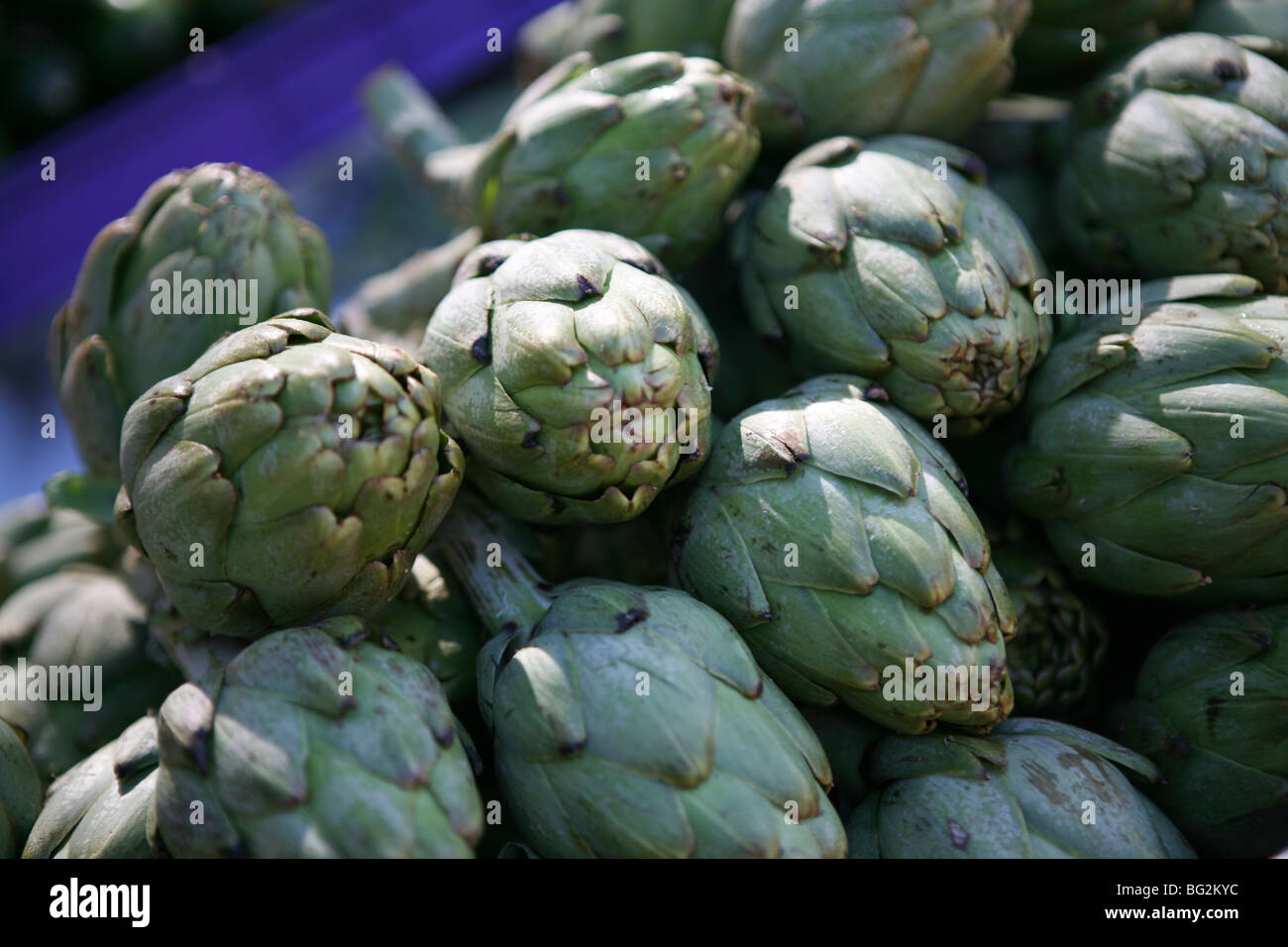 Cynara cardunculus var Scolymus - artichauts de globe frais / artichauts français / artichauts verts à vendre sur un marché espagnol Banque D'Images