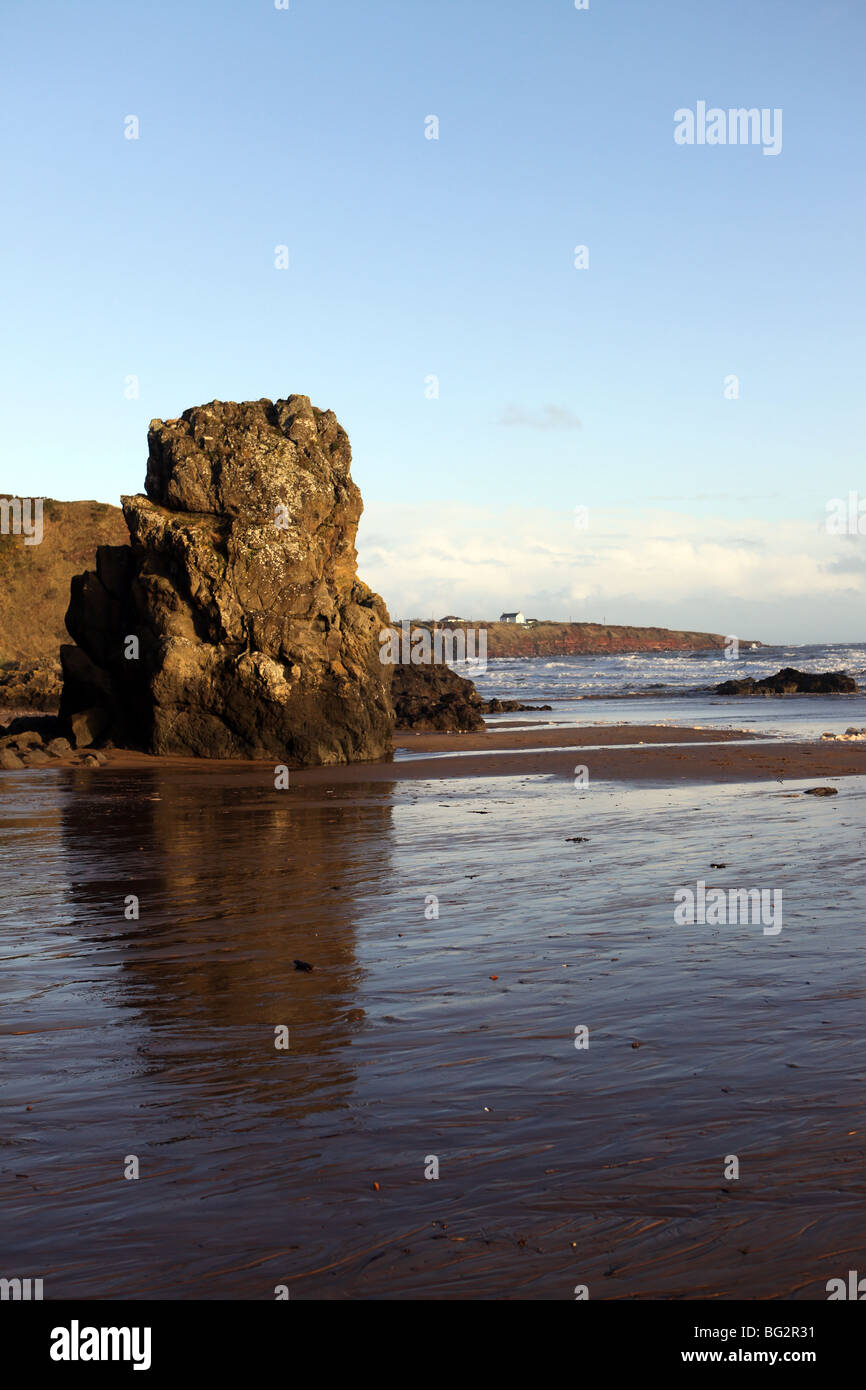 Belle plage de sable de St Cyrus, Aberdeenshire, Scotland, UK Banque D'Images