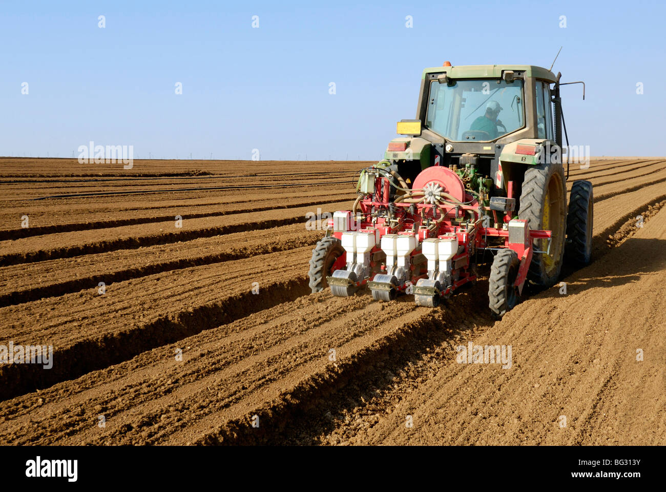 Israël, désert du Néguev, graines de plantes du tracteur dans un champ Banque D'Images