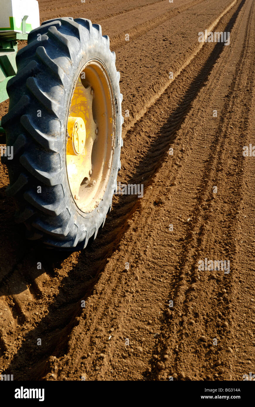 Israël, désert du Néguev, graines de plantes du tracteur dans un champ Banque D'Images