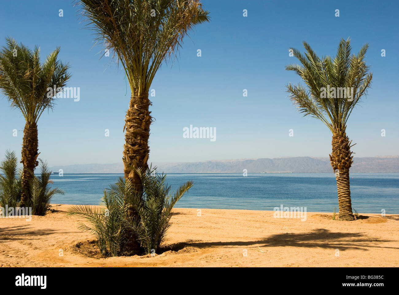 Tala Bay Beach, Tala Bay Aqaba, Jordanie, Moyen-Orient Banque D'Images