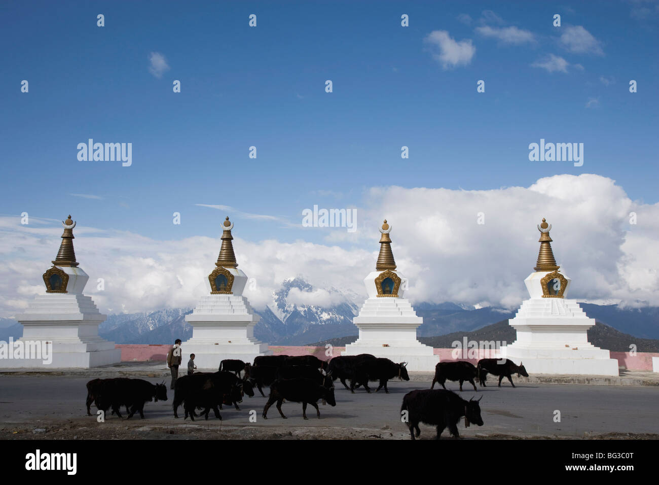 Stupas bouddhistes à Xian de Dêqên, près de la frontière tibétaine, région de Shangri-La, Yunnan Province, China, Asia Banque D'Images