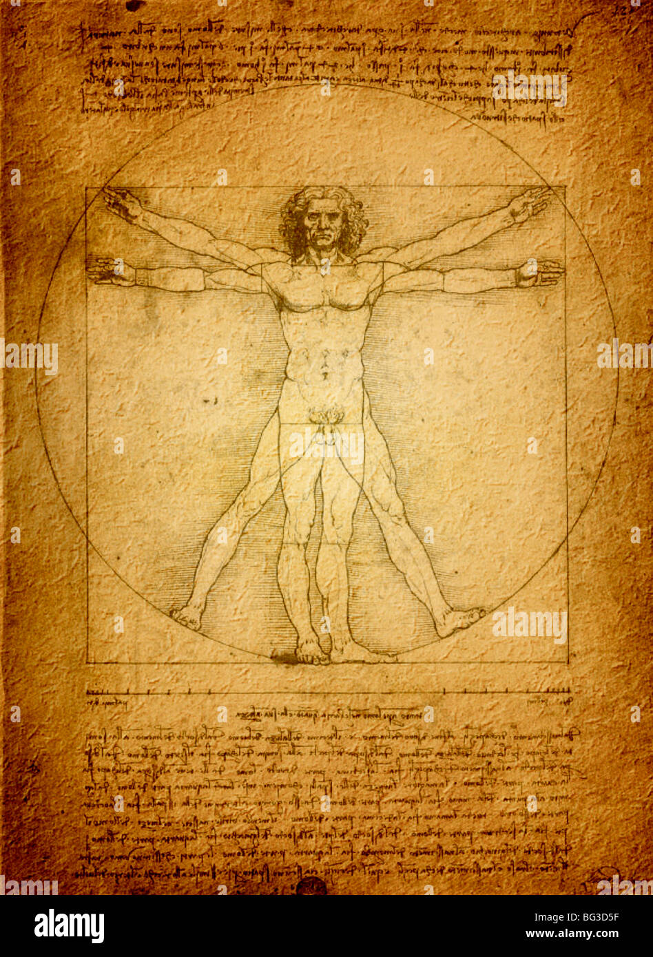 Homme de Vitruve par Leonardo da Vinci en 1490 plume et encre Banque D'Images