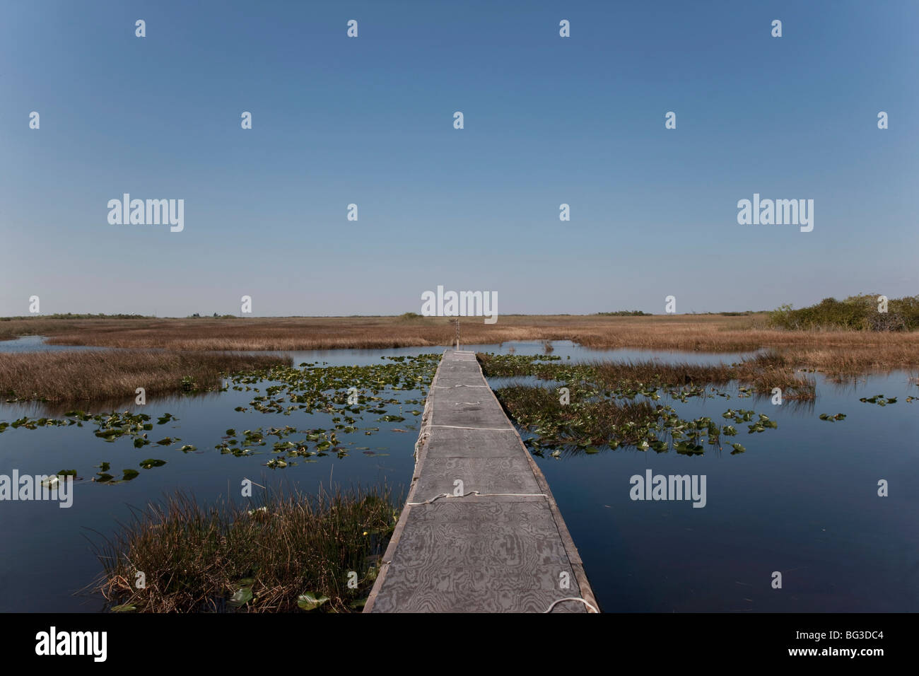 Le Parc National des Everglades, UNESCO World Heritage Site, Floride, États-Unis d'Amérique, Amérique du Nord Banque D'Images