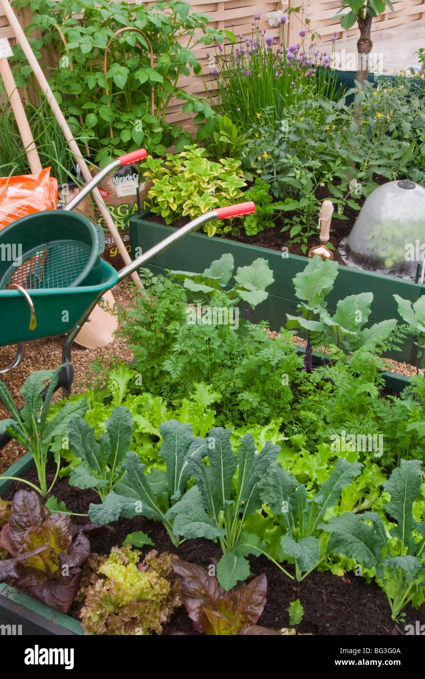 Potager, brouette, plantes, des lits surélevés, des outils de jardinage, un mélange de cultures alimentaires dans l'arrière-cour Banque D'Images