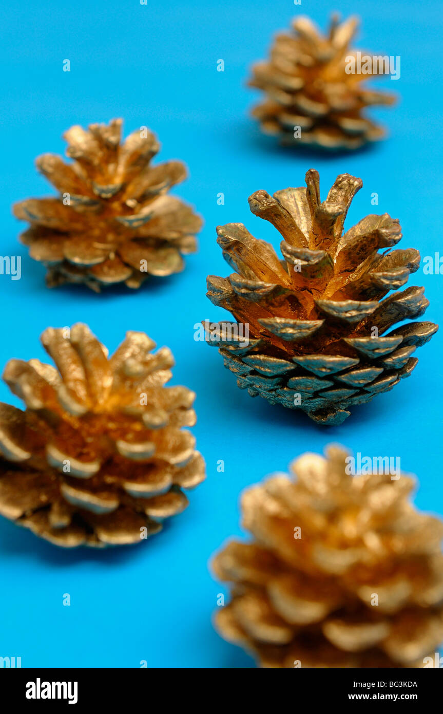 Les pommes de pin d'or à la recherche comme les arbres de Noël sur fond bleu Banque D'Images
