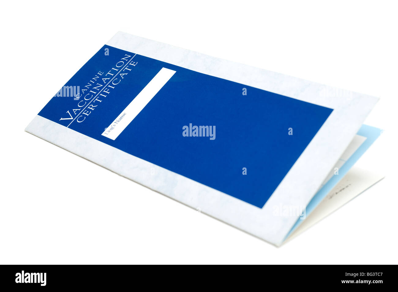 Carte Certificat de vaccination canine Banque D'Images