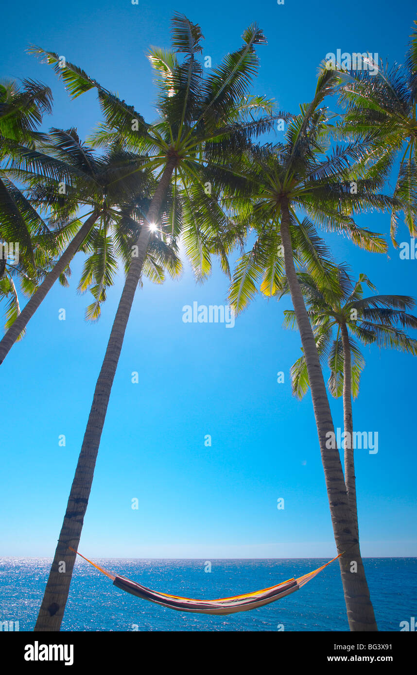 Hamac entre palmiers sur Beach, Bali, Indonésie, Asie du Sud, Asie Banque D'Images