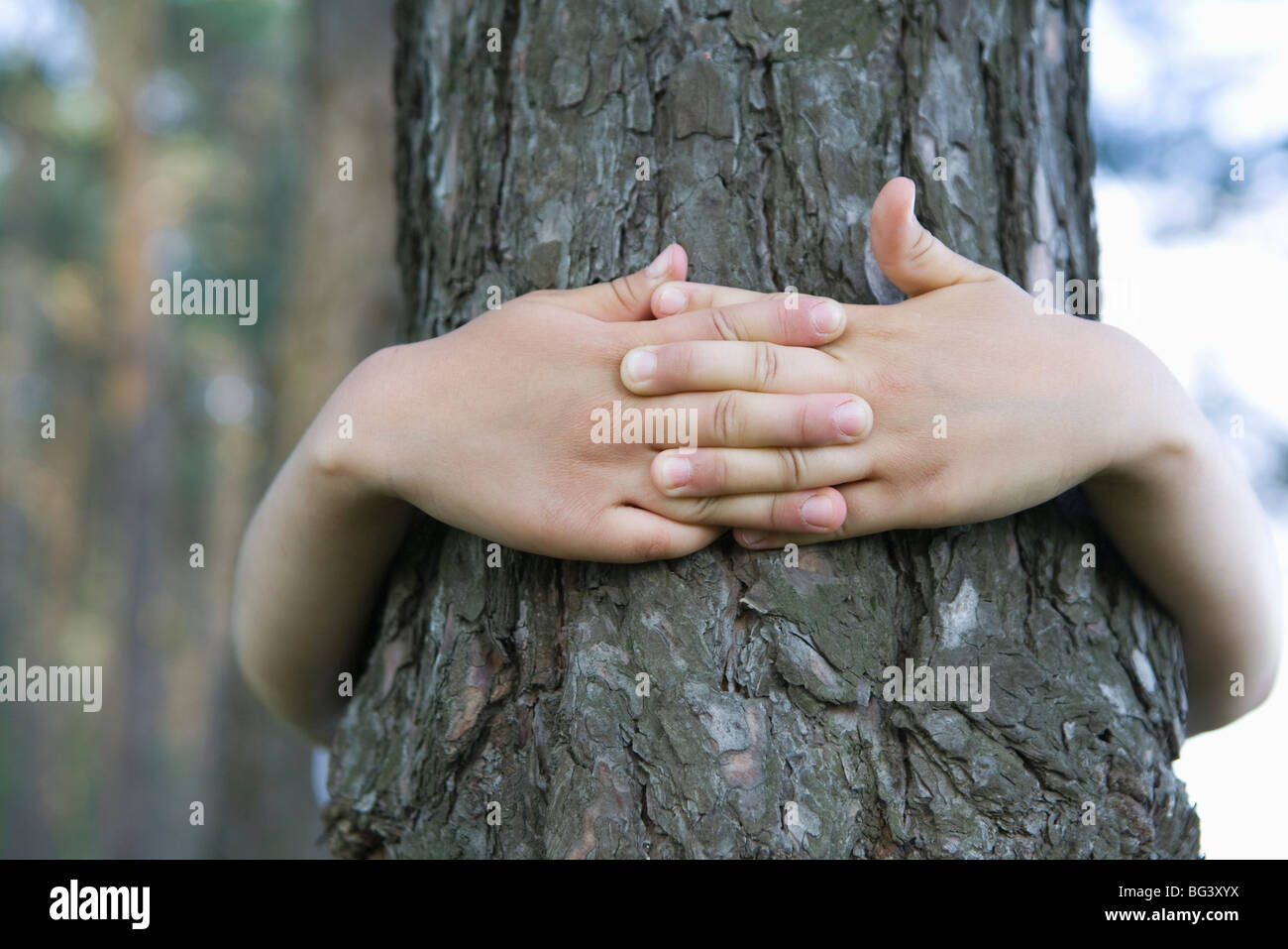 Enfant avec bras autour de tronc d'arbre Banque D'Images