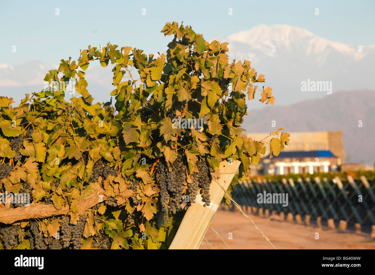 L'Argentine, la Province de Mendoza, Puente del Inca, l'ancien pont de pierre sur la rivière Rio de las Cuevas, el. 2720 mètres Banque D'Images