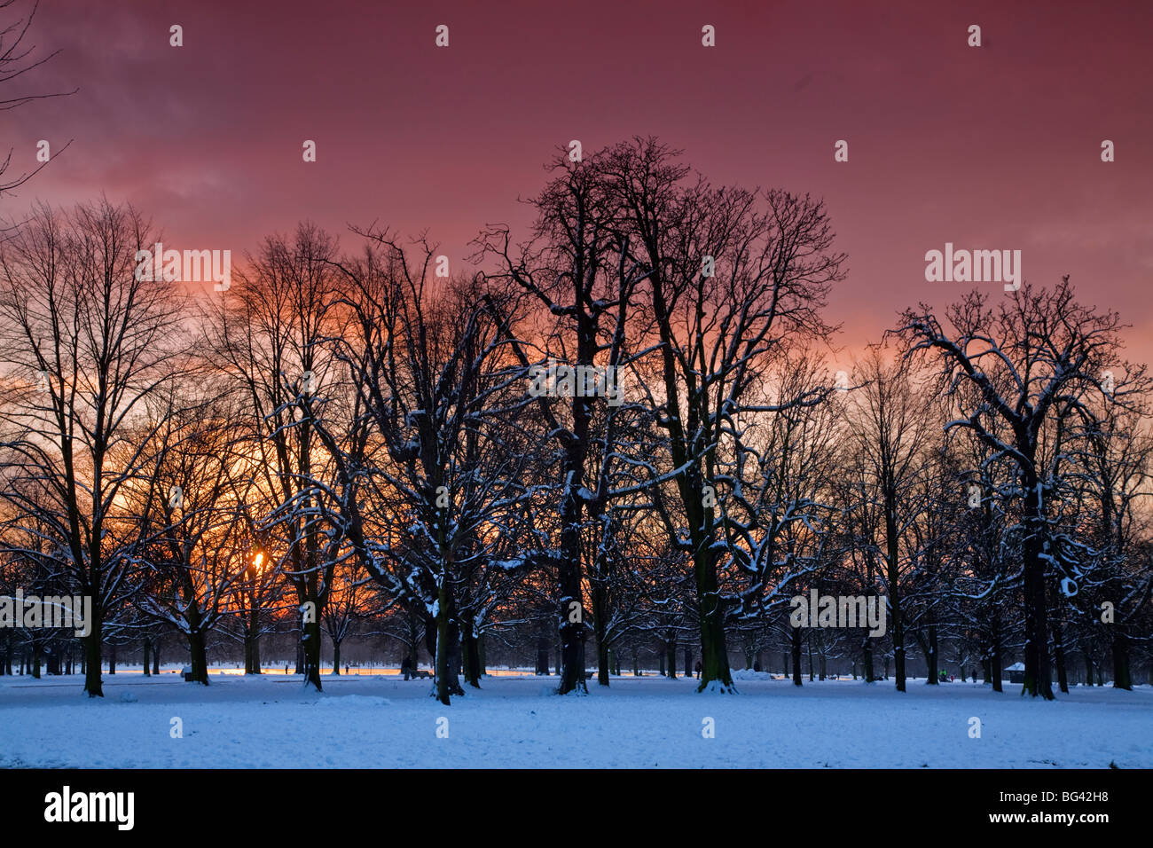 L'Angleterre, Londres, Kensington, Kensington Gardens Banque D'Images
