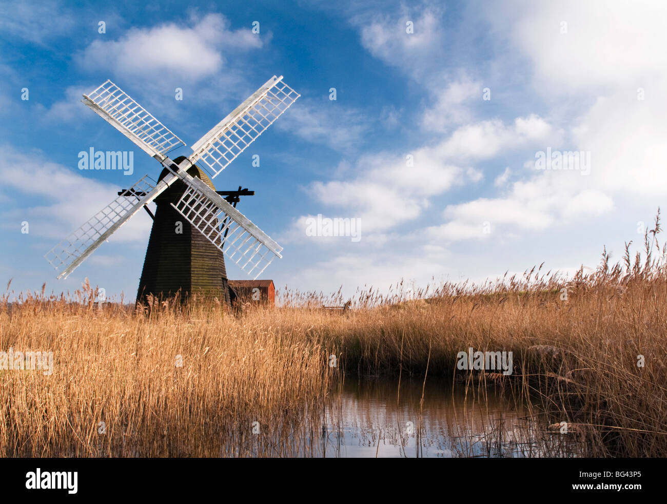 Herringfleet Moulin de drainage, Suffolk, UK Banque D'Images